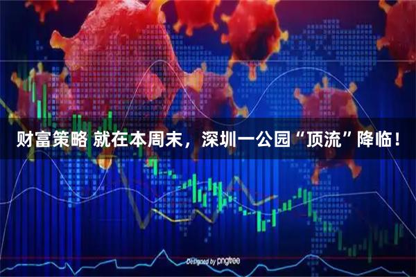 财富策略 就在本周末，深圳一公园“顶流”降临！