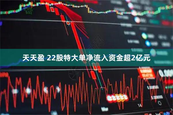 天天盈 22股特大单净流入资金超2亿元