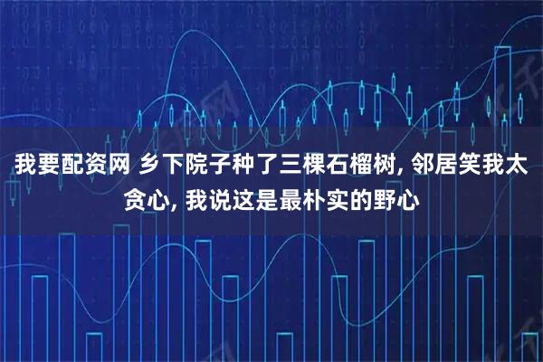 我要配资网 乡下院子种了三棵石榴树, 邻居笑我太贪心, 我说这是最朴实的野心