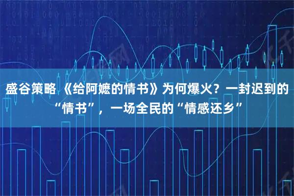 盛谷策略 《给阿嬷的情书》为何爆火？一封迟到的“情书”，一场全民的“情感还乡”