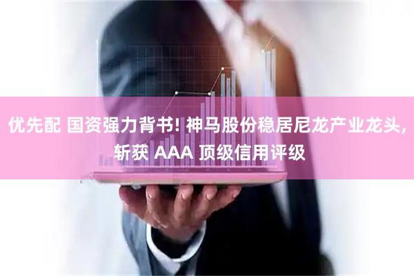 优先配 国资强力背书! 神马股份稳居尼龙产业龙头, 斩获 AAA 顶级信用评级