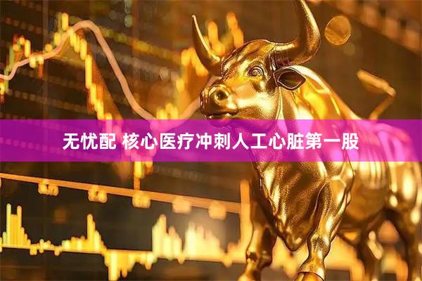 无忧配 核心医疗冲刺人工心脏第一股