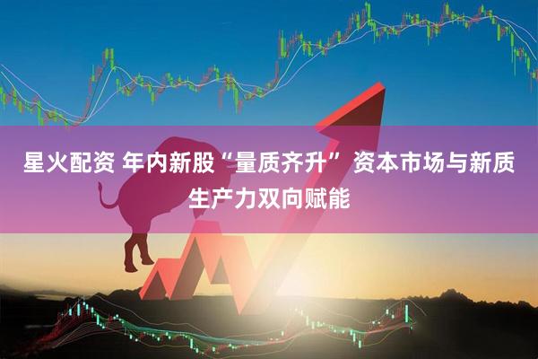 星火配资 年内新股“量质齐升” 资本市场与新质生产力双向赋能